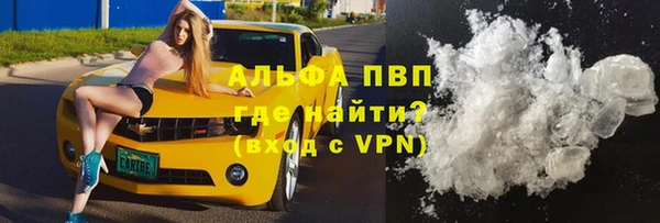 стафф Покачи