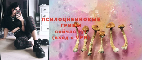 стафф Покачи
