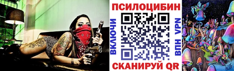 Купить где  Маркс  Псилоцибиновые грибы мицелий 